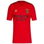 Camisolas de futebol Benfica Equipamento Principal 2020/21 Manga Curta